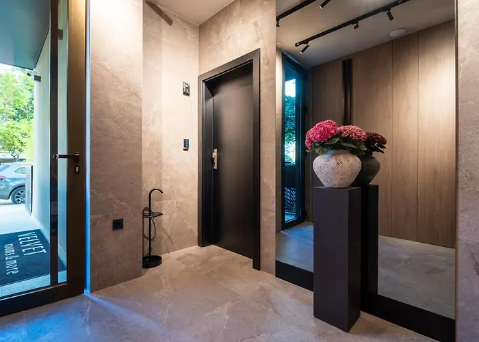  Velvet Rooms & More
