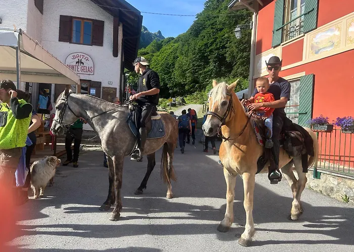 Campeggio il Bosco