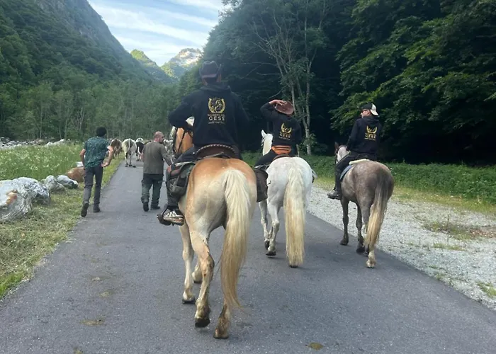 Campeggio il Bosco