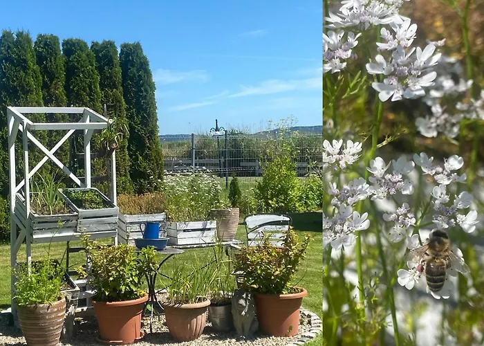 Siedlisko Nad Rozlewiskiem