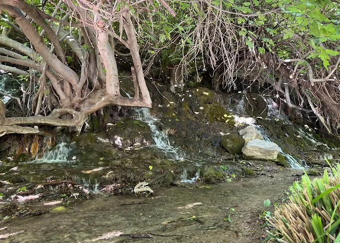 Cortijo Cerro Fuentes Nuevas