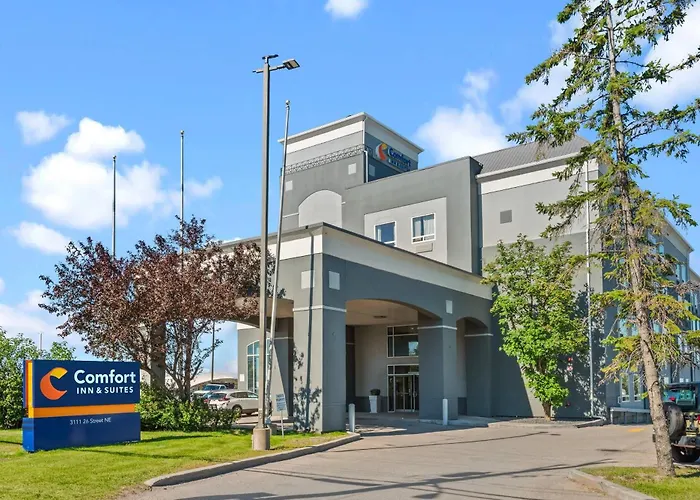 Comfort Inn & Suites Airport South