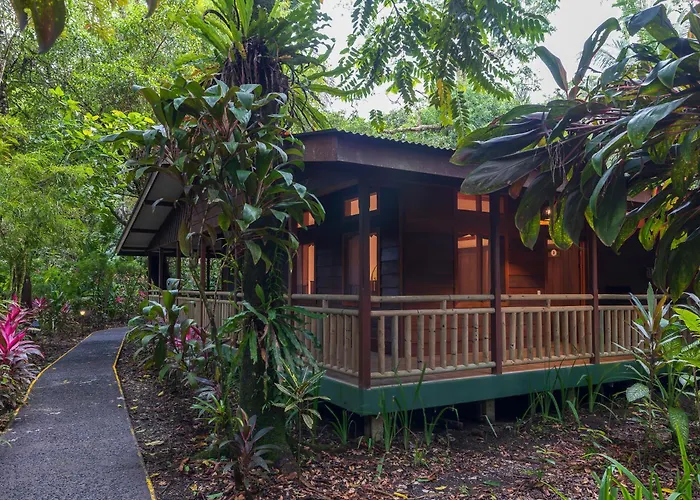 Hotel suites Pachira Lodge