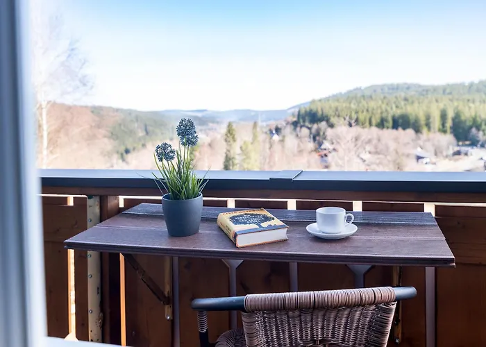 Schwarzwald-Chalet Feldberg