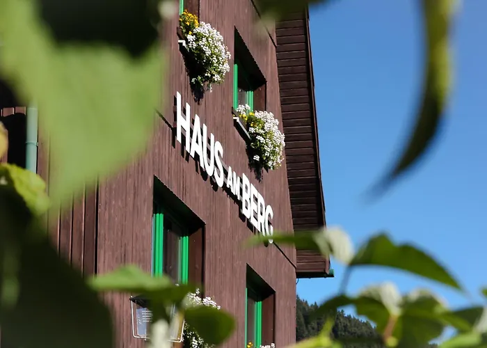  Haus Am Berg - Direkt Am Skihang