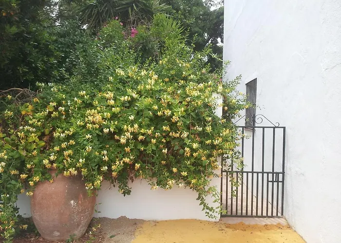 Cortijo de Vega Grande