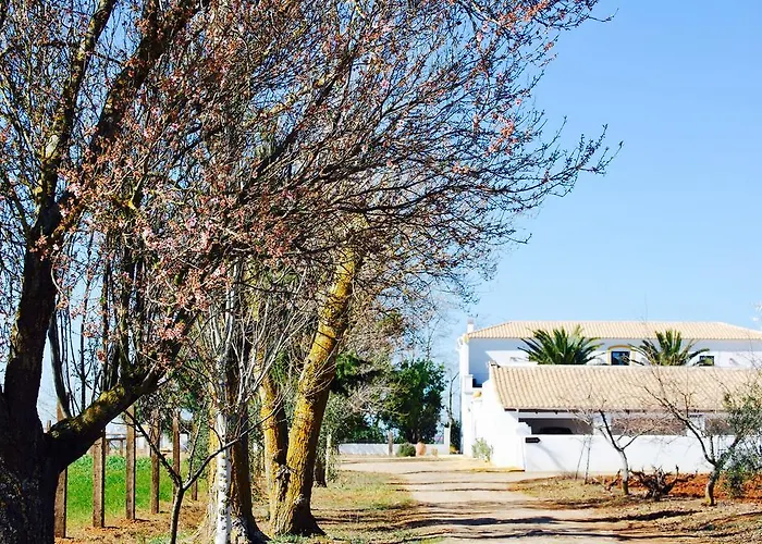 Hostal Cortijo de Vega Grande Llerena