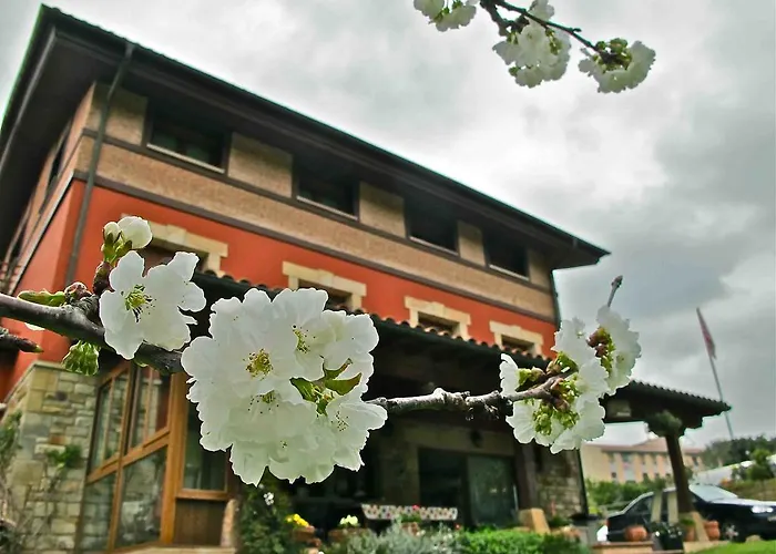 Labeondo