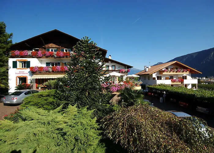 Hotel: Hotel Traubenheim
