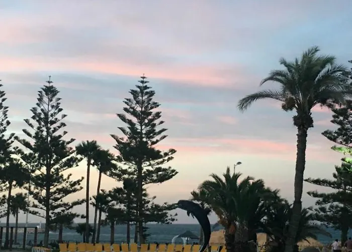 Hôtel accueillant les animaux: Delphin Habib