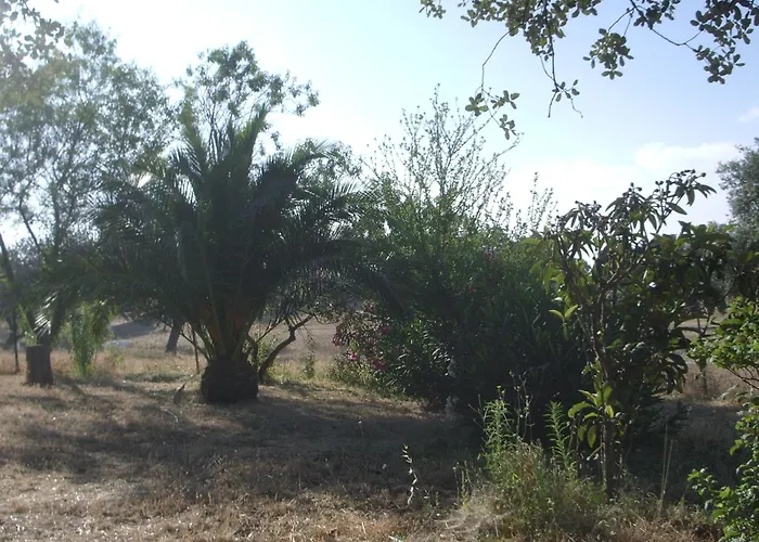 El Tejar Cabaña