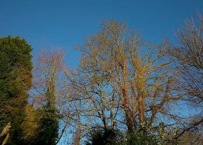 Family Hotel: Thornybank