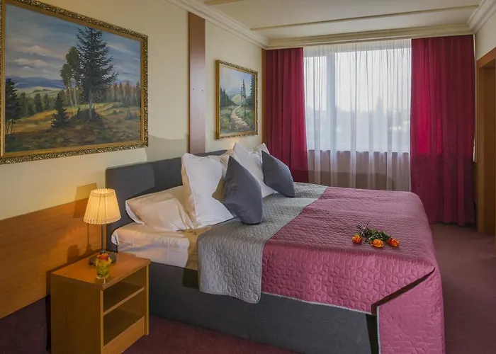Hotel Jacuzzi: Top Hotel Praha
