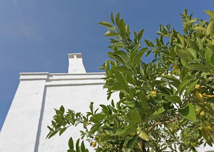 Corte dei melograni-Suite familiare-zona Ostuni