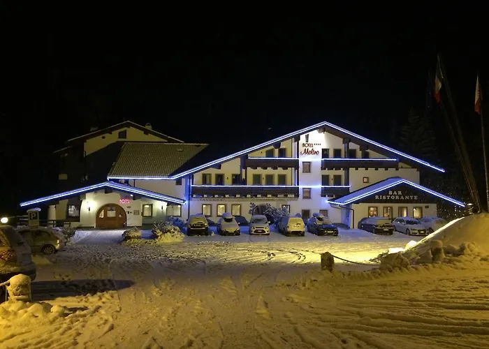  Molino