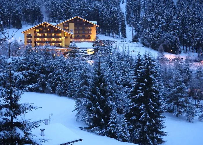 Hotel Ping Pong: Hotel Shandranj