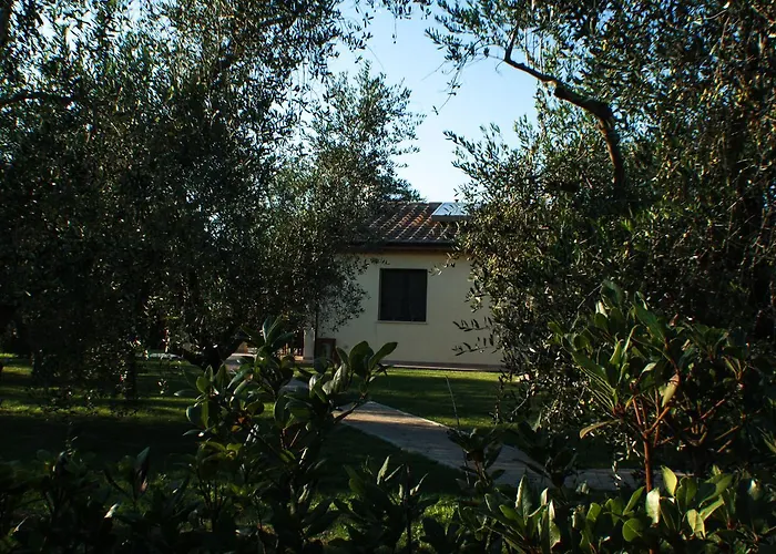 Agriturismo Dallolivo