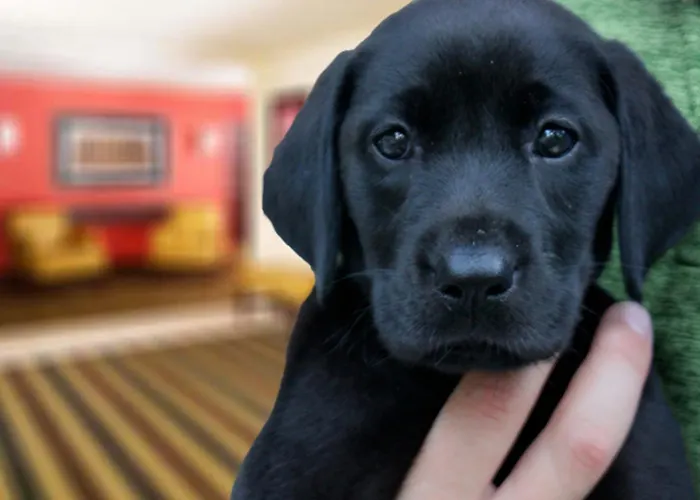 Cheap hotel: Extended Stay America Suites - Dallas - Plano Parkway - Medical Center