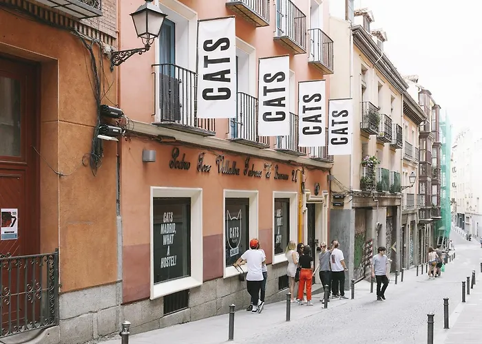 Cats Chill Out Hostel Madrid