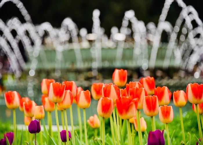 Ostello: Sofia Smart Hostel