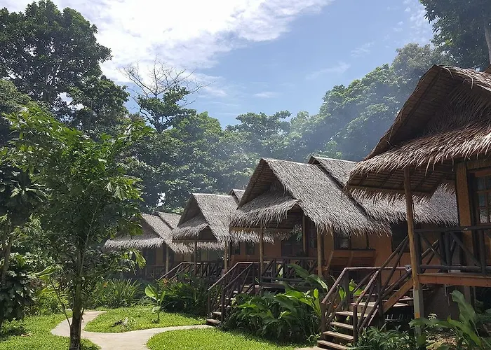  Jungle Garden
