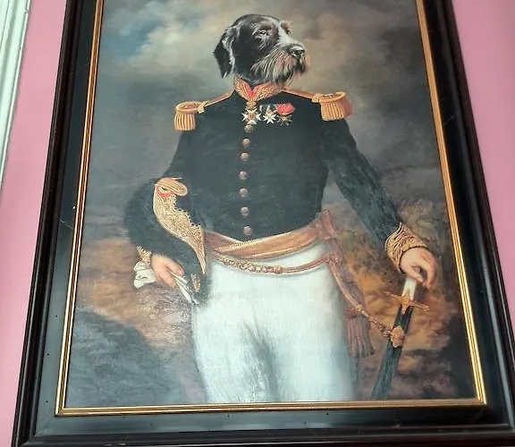 Cheap hotel: Hotel Sabina