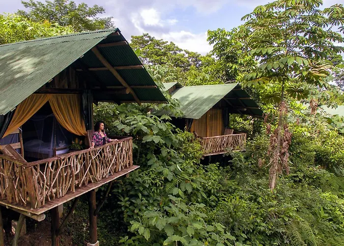 Villa: La Tigra Rainforest Lodge