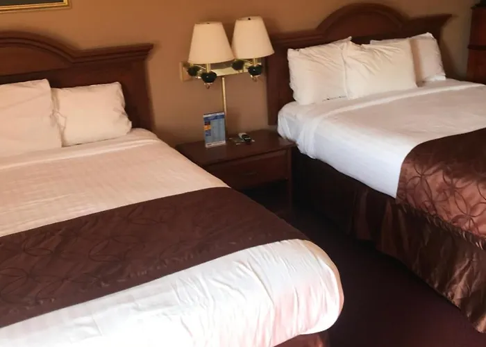 Motel: Shamrock Motel Hot Springs