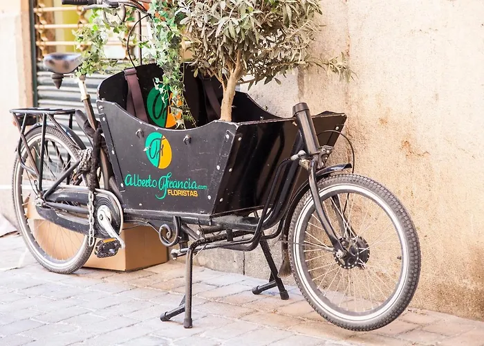 B&B: Made In Palma -Turismo De Interior