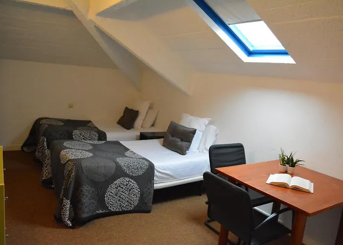 Hôtel accueillant les animaux: Hotel Record