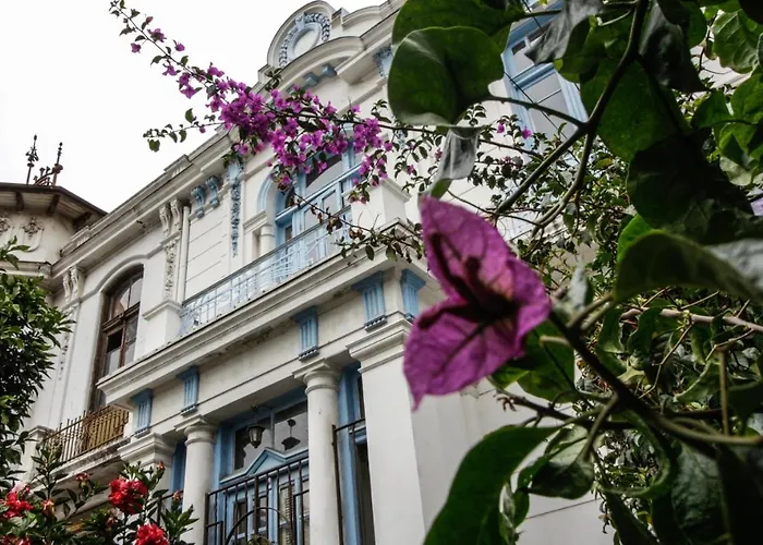 Blanca Rosa Valparaiso B&B