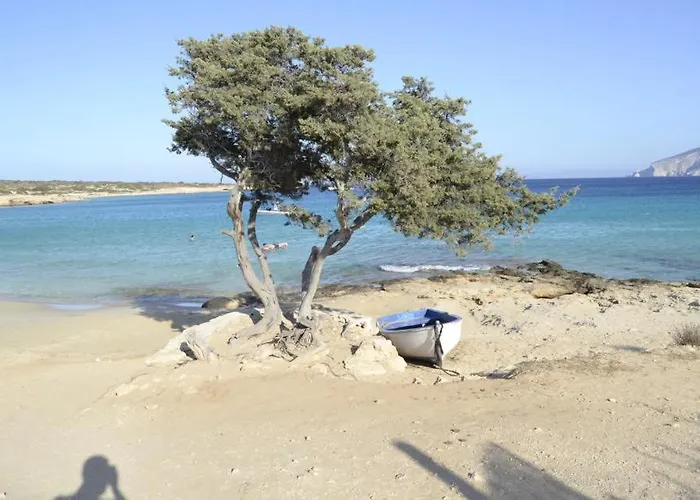 Nektarios Fanos Studios