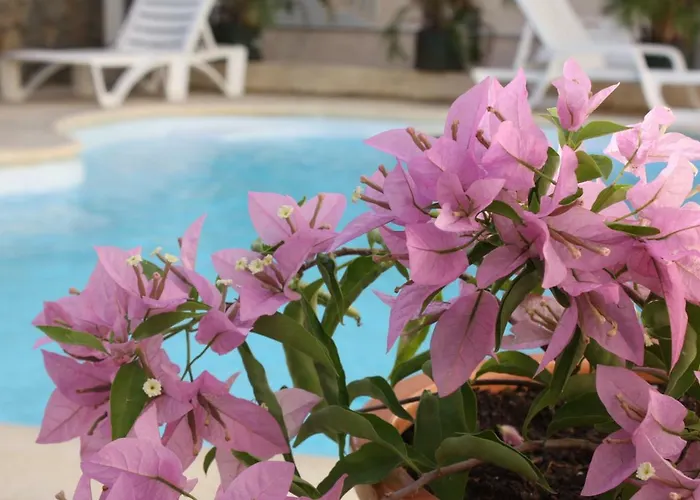 Hôtel: Residence Le Lotus