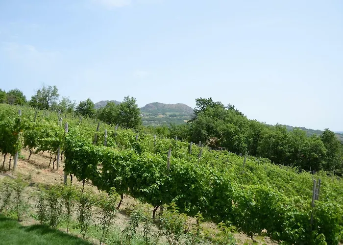 Agriturismo Ca' Del Sartu