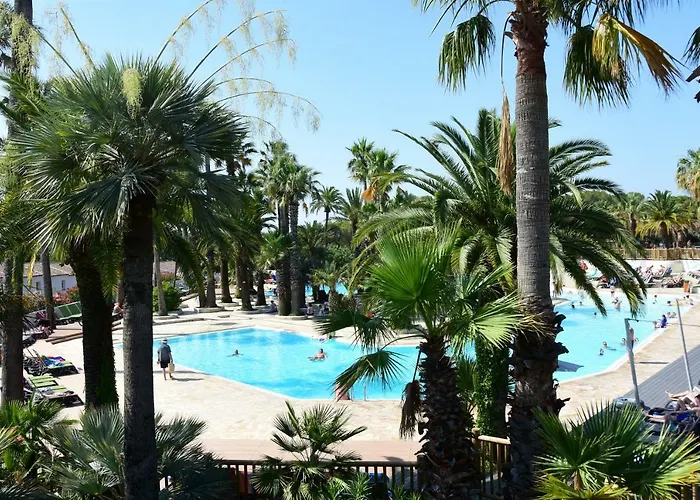 Hôtel accueillant les animaux: Residence La Palmeraie