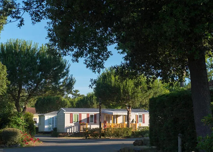 Hôtel accueillant les animaux: Camping Officiel Siblu Le Bois Dormant