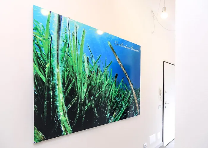 La Posidonia Oceanica
