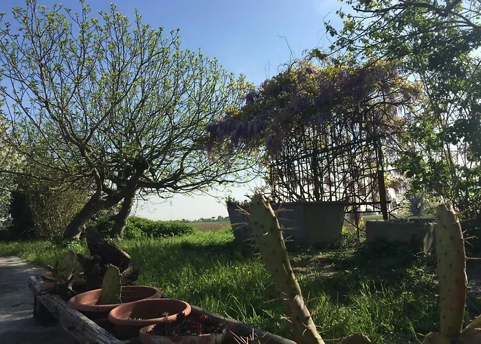 Bed and Breakfast Il Rudere Ravenna