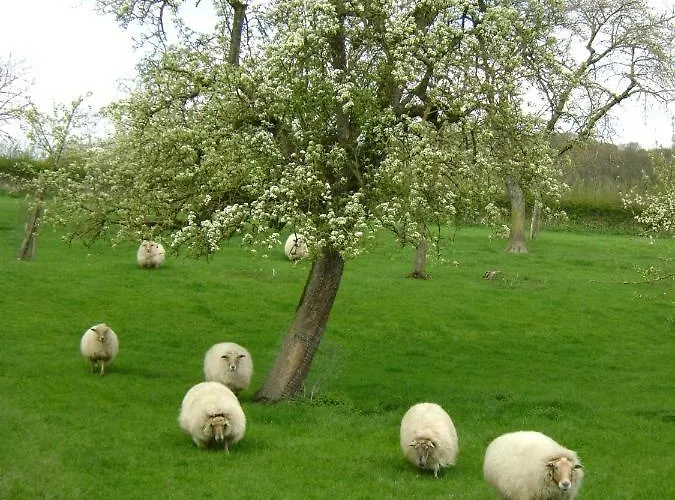 Hoeve Schevey