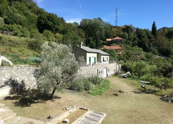Verdure Naturali