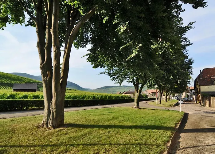 La Maison Jaune Ammerschwihr