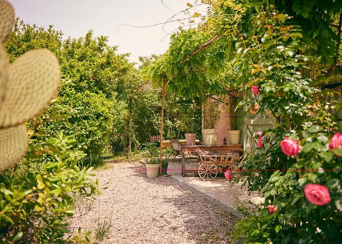 Domaine Hemmitage