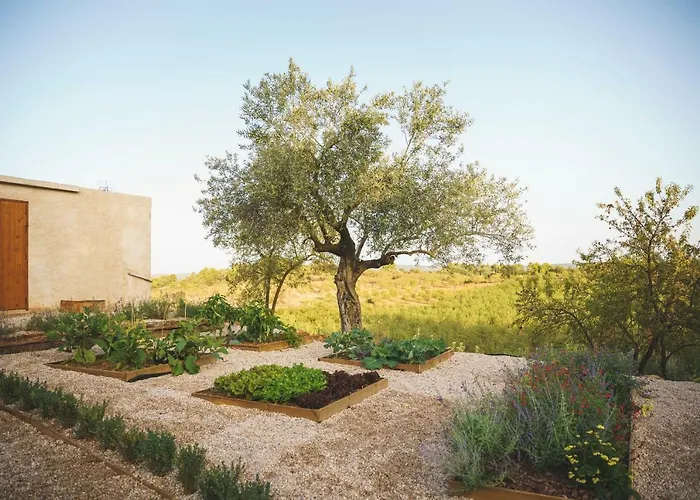 Casa rural Mas del Serranet