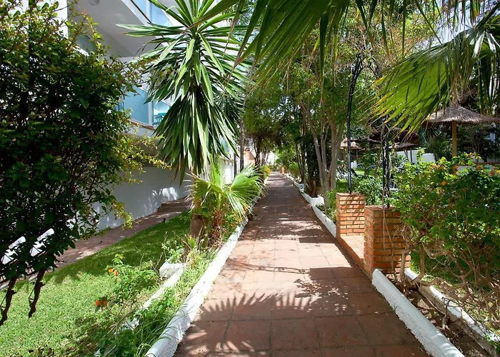 Hotel met tennis: Hotel Palia Las Palomas