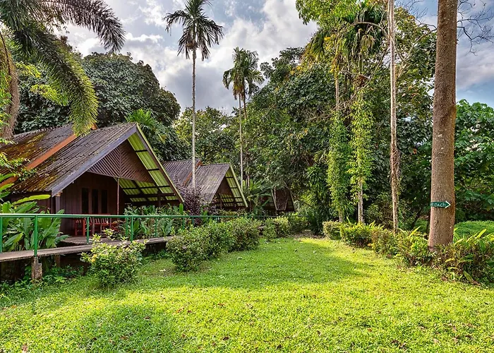 Khao Sok Riverside Cottages