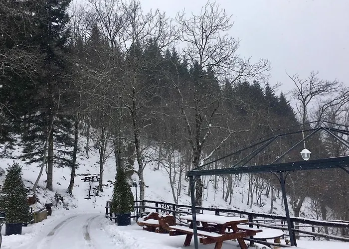 Agriturismo Al Castagno Abetone