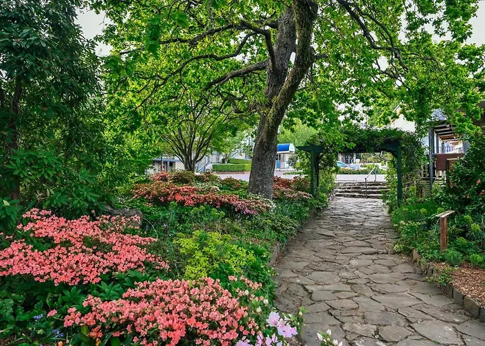 Nesuto Leura Gardens