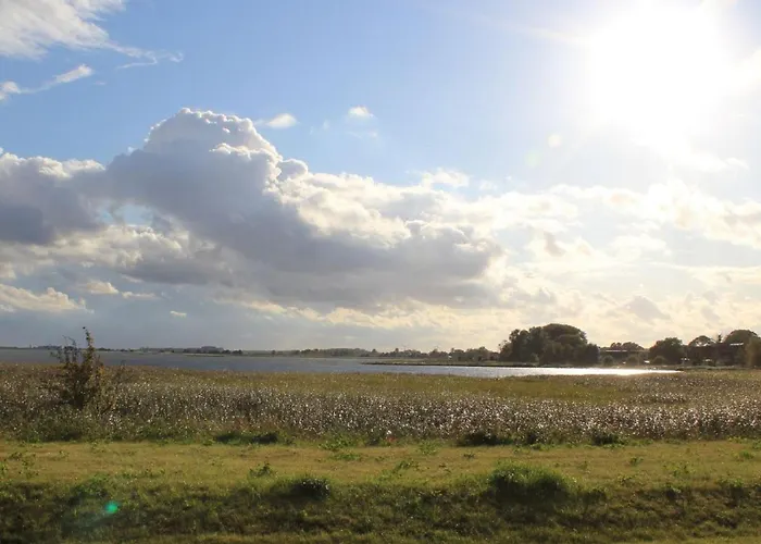 Haustierfreundliches Hotel: Reetdachhaus Windsbraut
