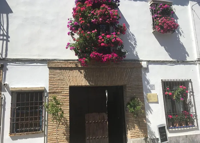 Hotel que admite mascotas: Conde de Vallellano
