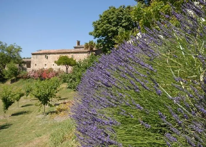 Hôtel accueillant les animaux: Domaine de Cousignac